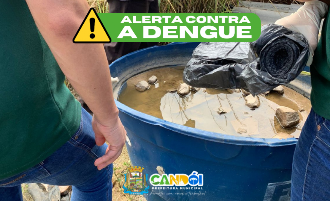Alerta contra a dengue!